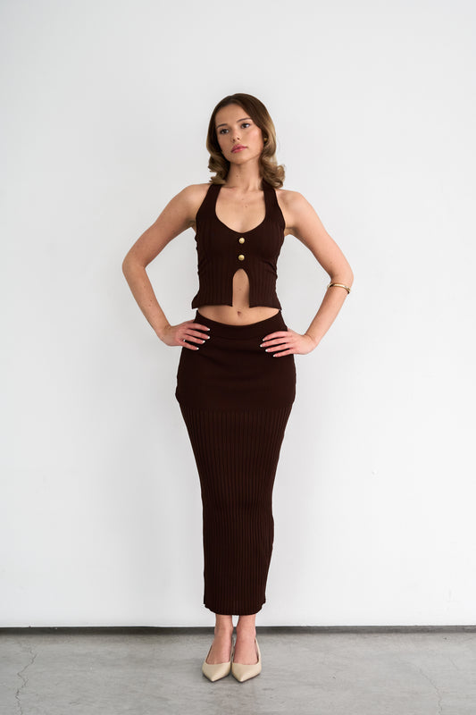 Brown Maxi Skirt and Top